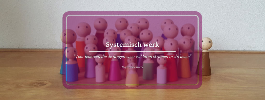 Professionele NLP-opleiding programma met Practitioner en Master Practitioner cursussen